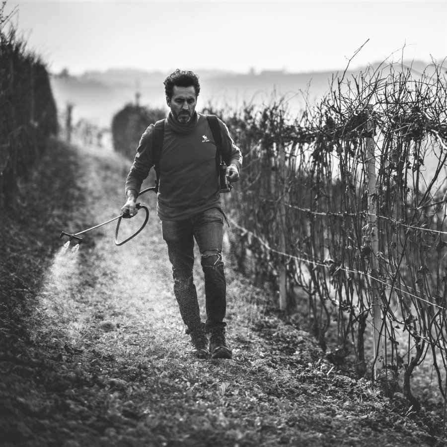 Langhe Nebbiolo 2023 DOC