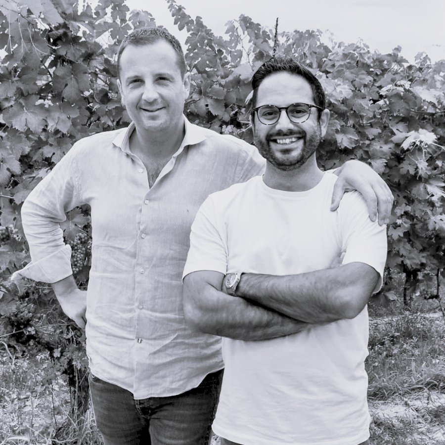 Barbera d'Alba DOC 2024
