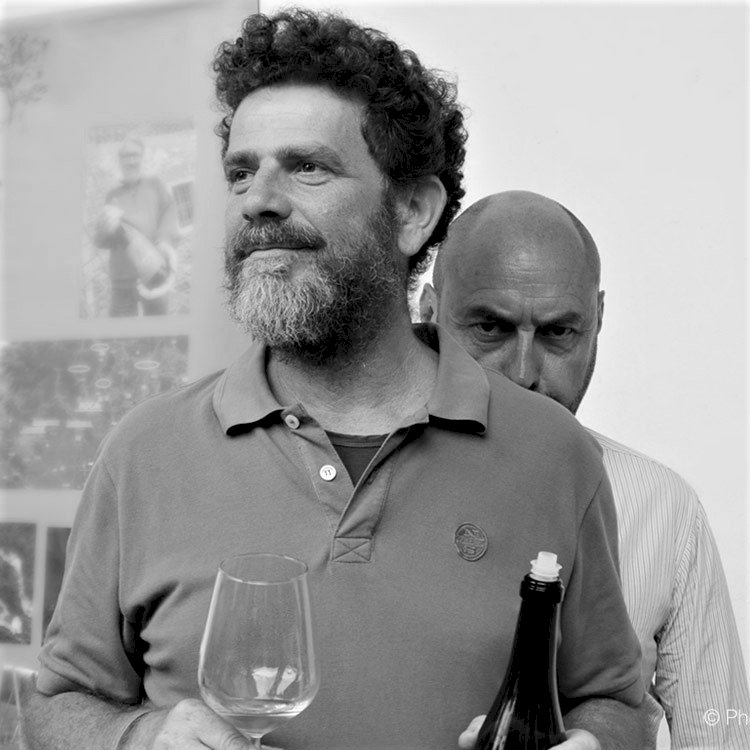 Andrea Cervini - Vino del Poggio