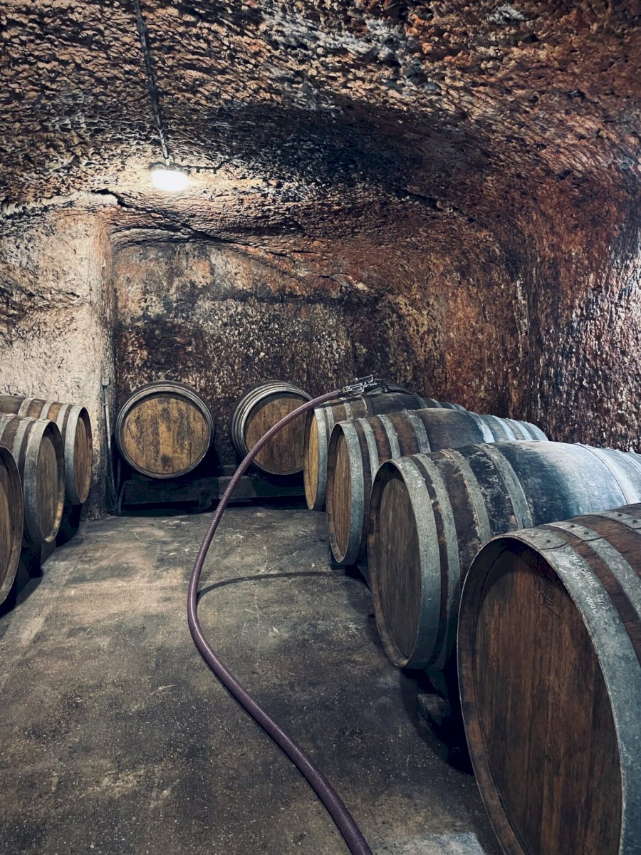 Domaine Nöella Morantin