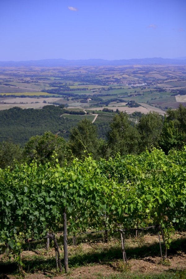 Podere Sante Marie - Marino Colleoni