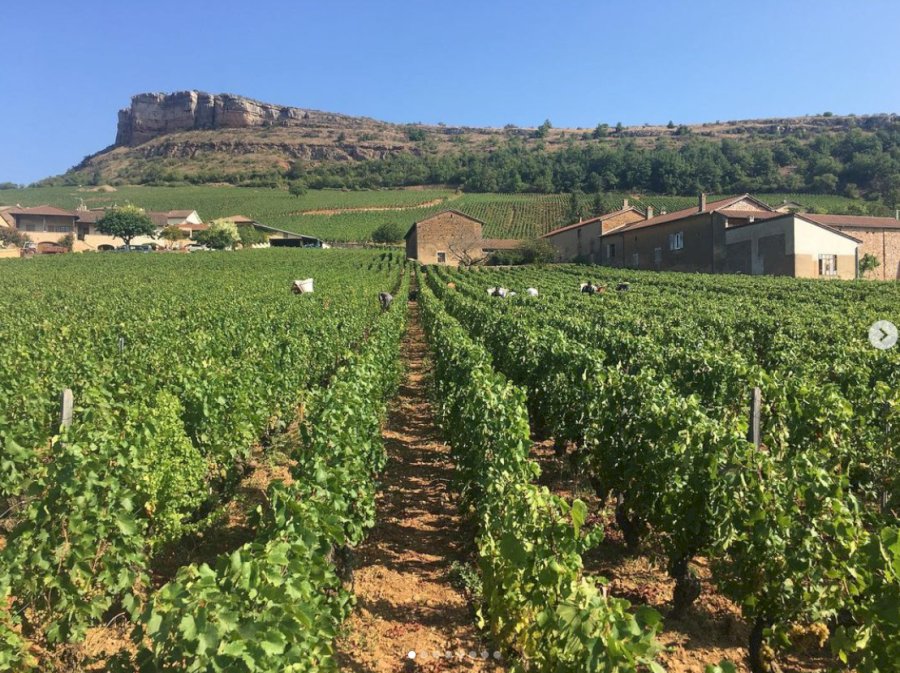 Domaine Barraud