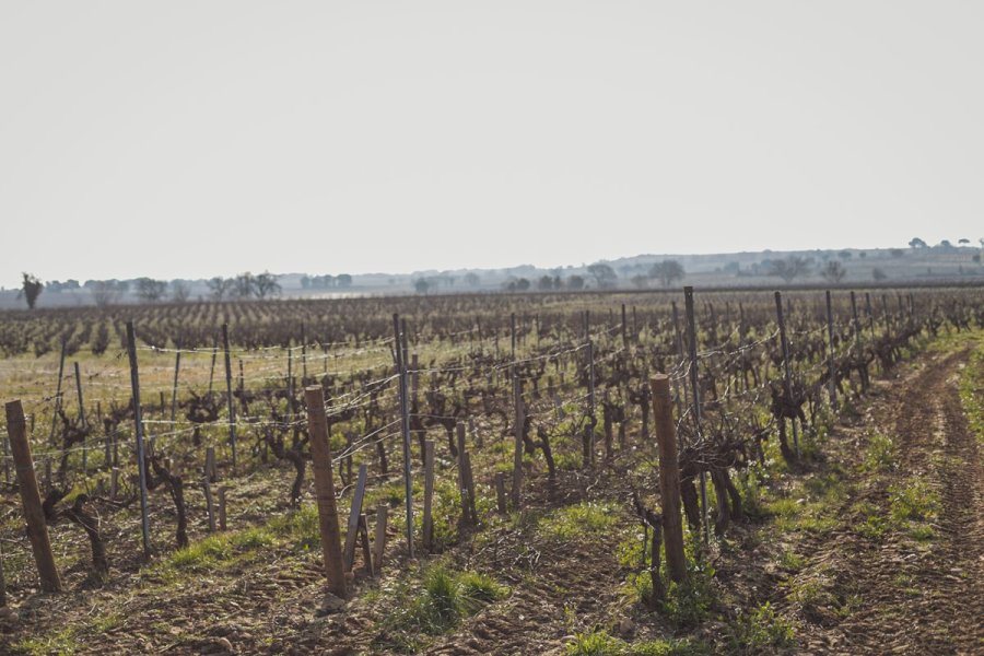 Domaine de Villeneuve