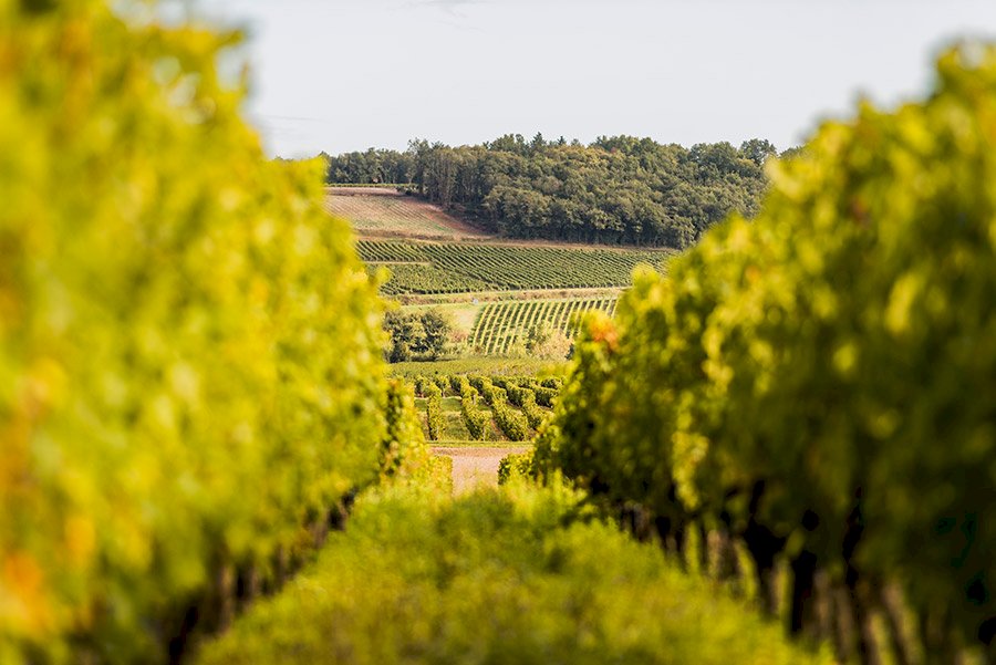 Domaine de l&amp;#039;R