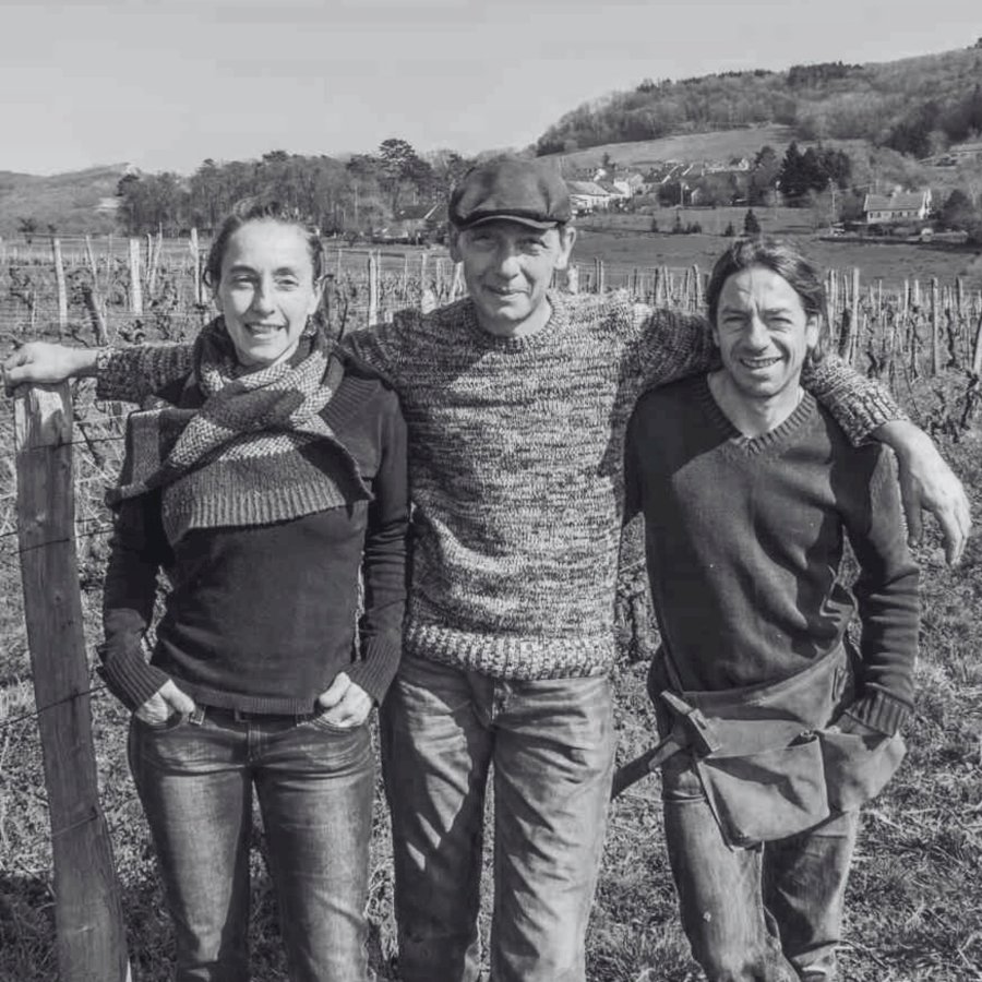 Fleur de Savagnin 2023 Labet