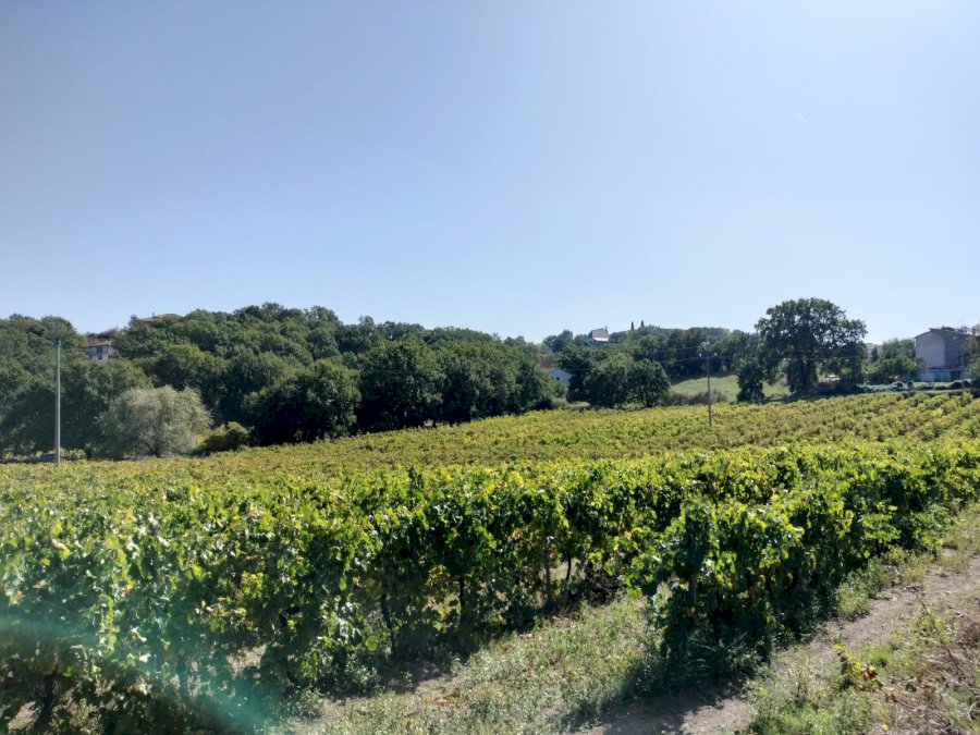 Almari Cantina Urbana