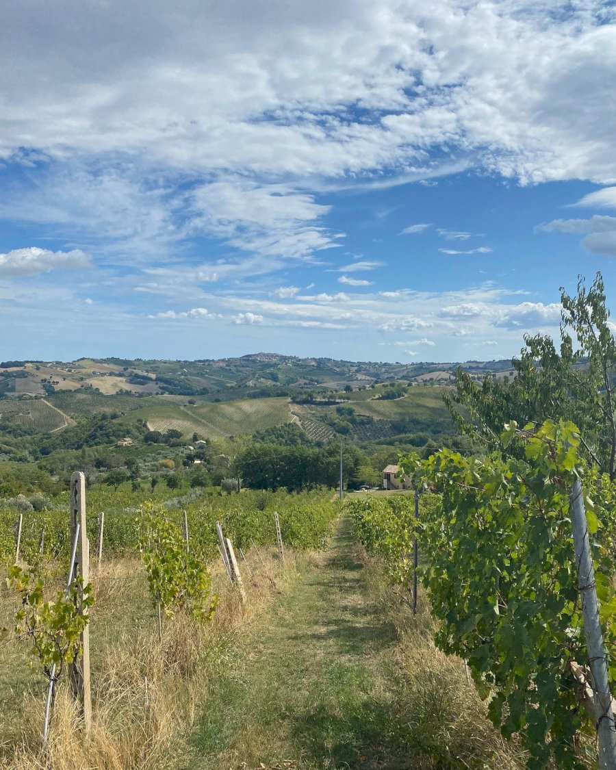 Oppeddentro