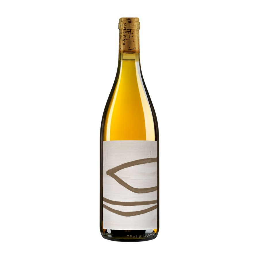 Vinotte 2023 Toscana Bianco IGT