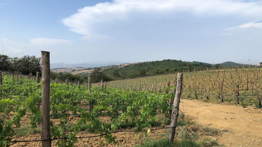 Poggio Cagnano