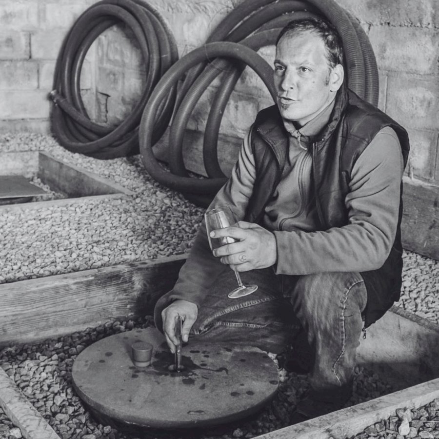Vina Rojac
