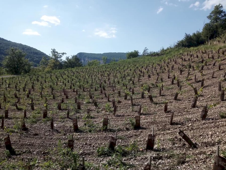 Les Grangeons de l'Albarine