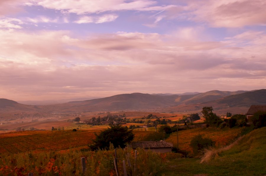 Domaine de la Roche