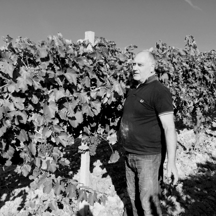 Vigna Vecchia 2023 Umbria IGT