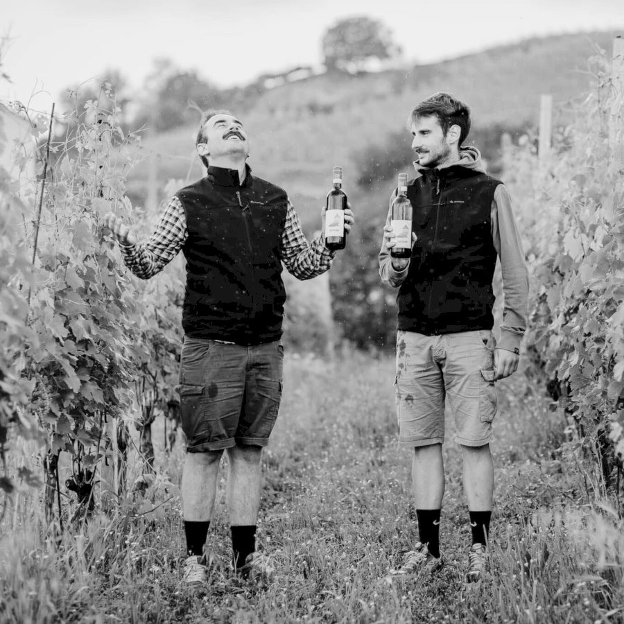 Roero DOCG 2022