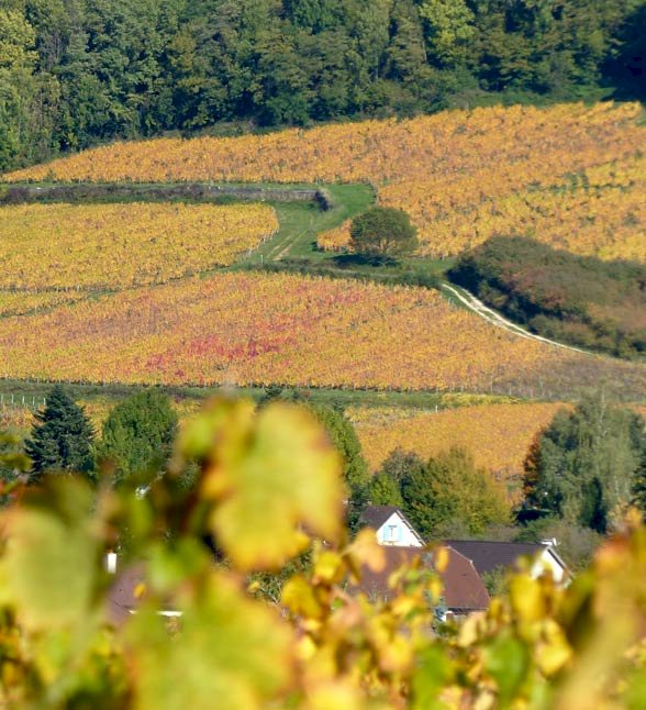 Domaine de la Touraize