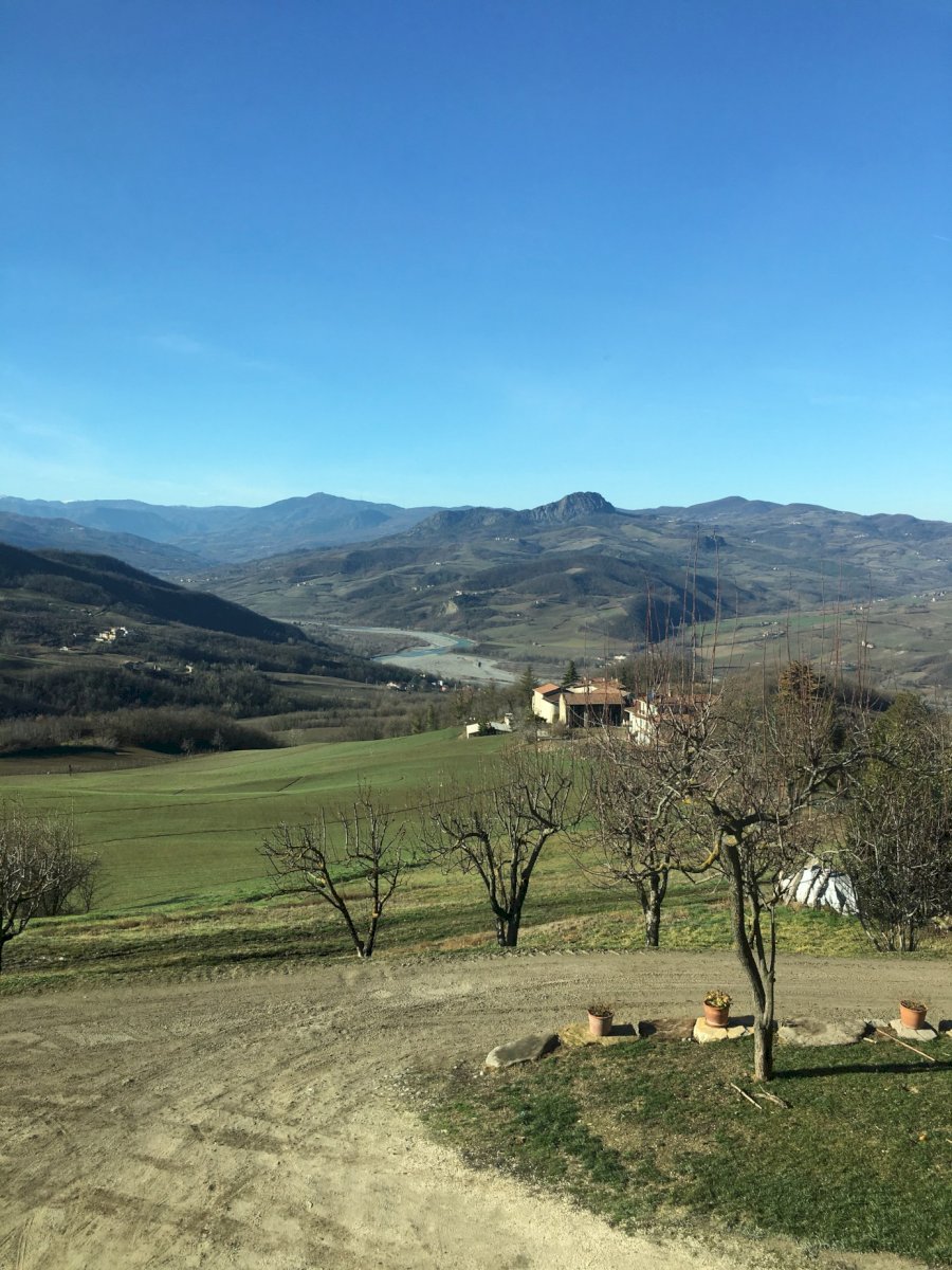 Andrea Cervini - Vino del Poggio