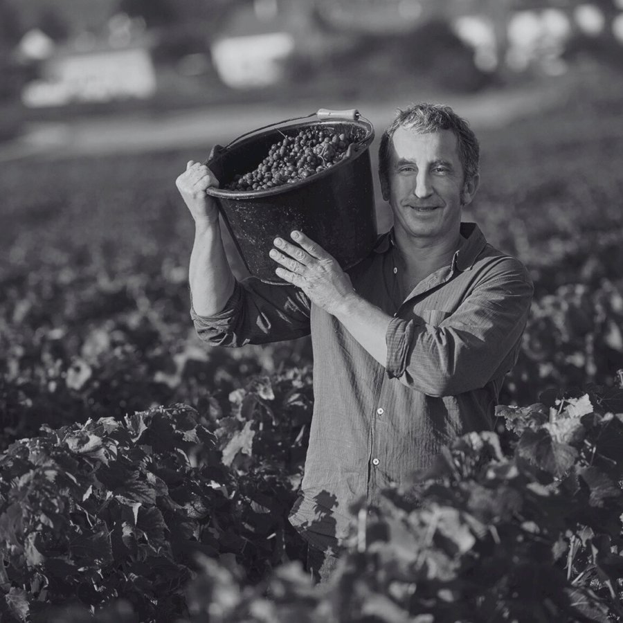 Domaine René Bouvier