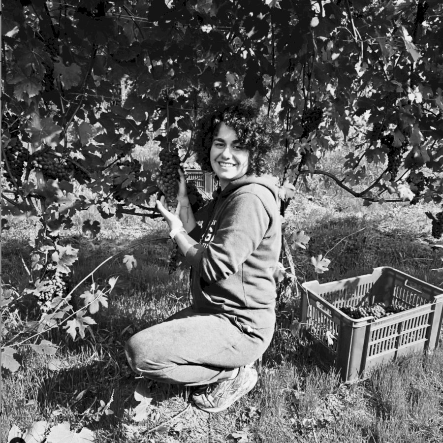 Fiorina Barbera D'Alba 2023 DOC