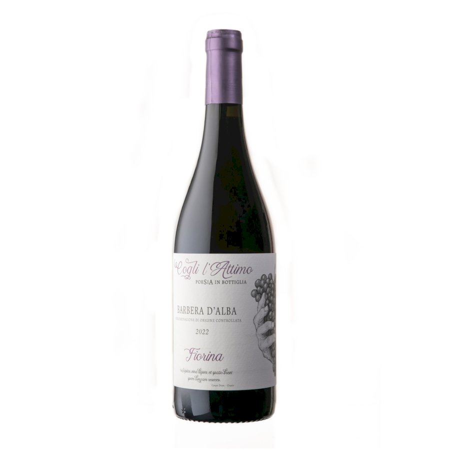 Fiorina Barbera D'Alba 2023 DOC