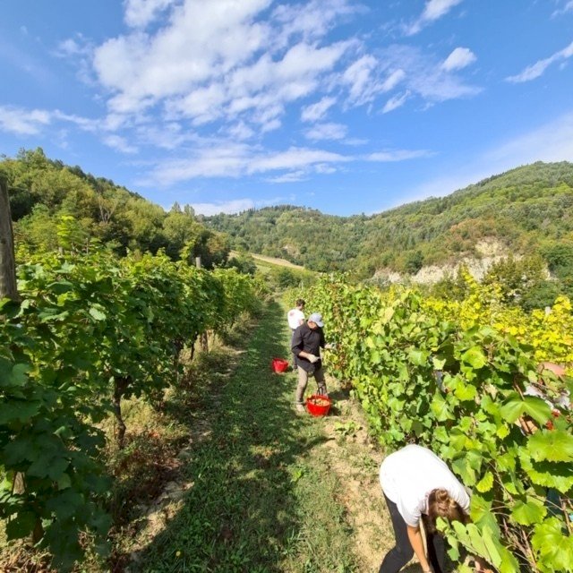 Bragagni Azienda Agricola