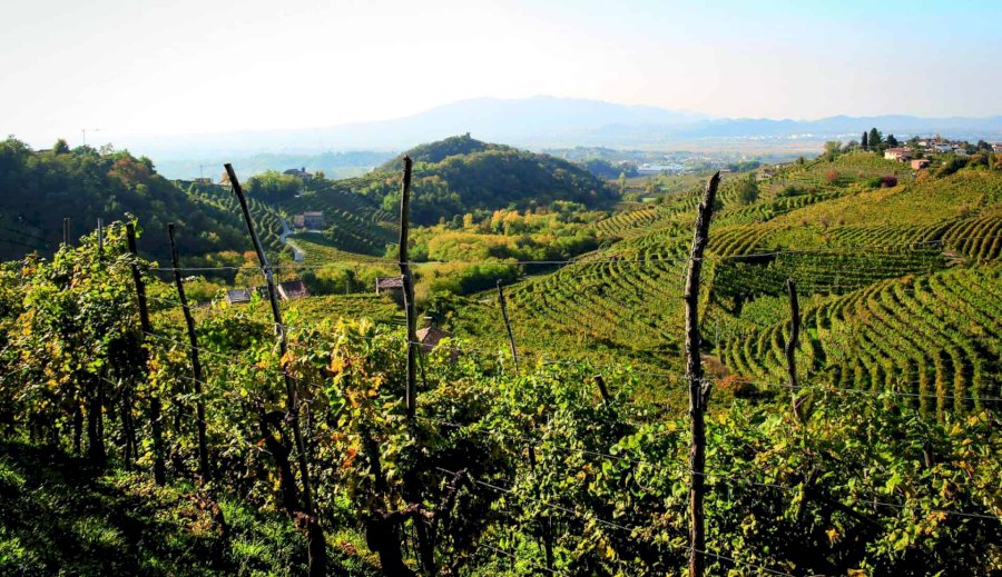Ca Dei Zago