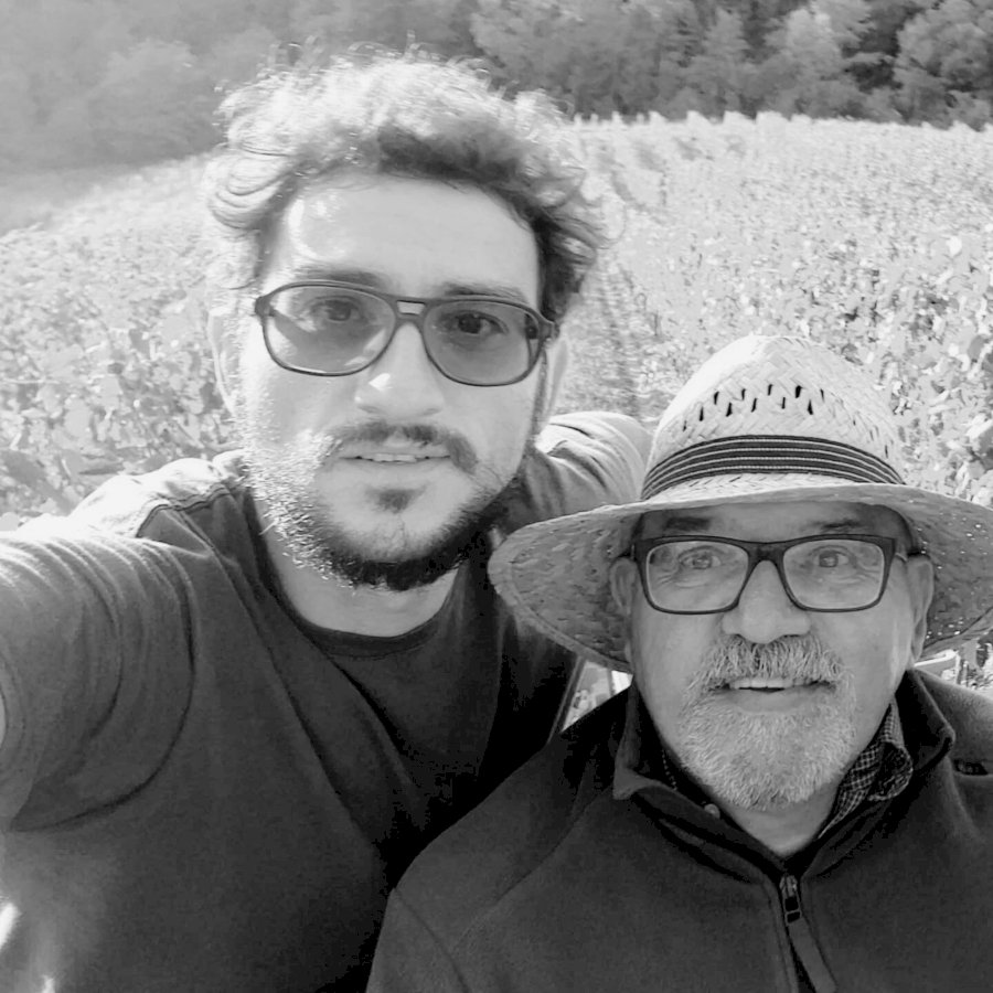 Vento e Sale 2023 Pecorino DOC