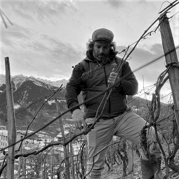 Jazpemi 2022 Valtellina Superiore Valgella DOCG