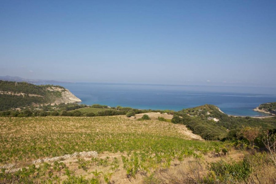 Clos Marfisi