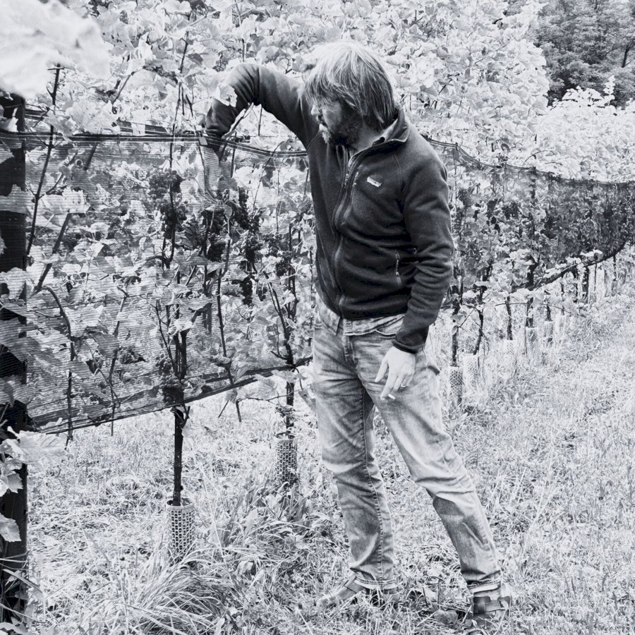 Bocciato 2023 Vino Bianco Spumante Extra Brut