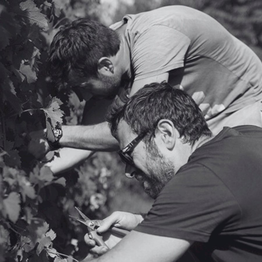Langhe Nebbiolo DOC 2022