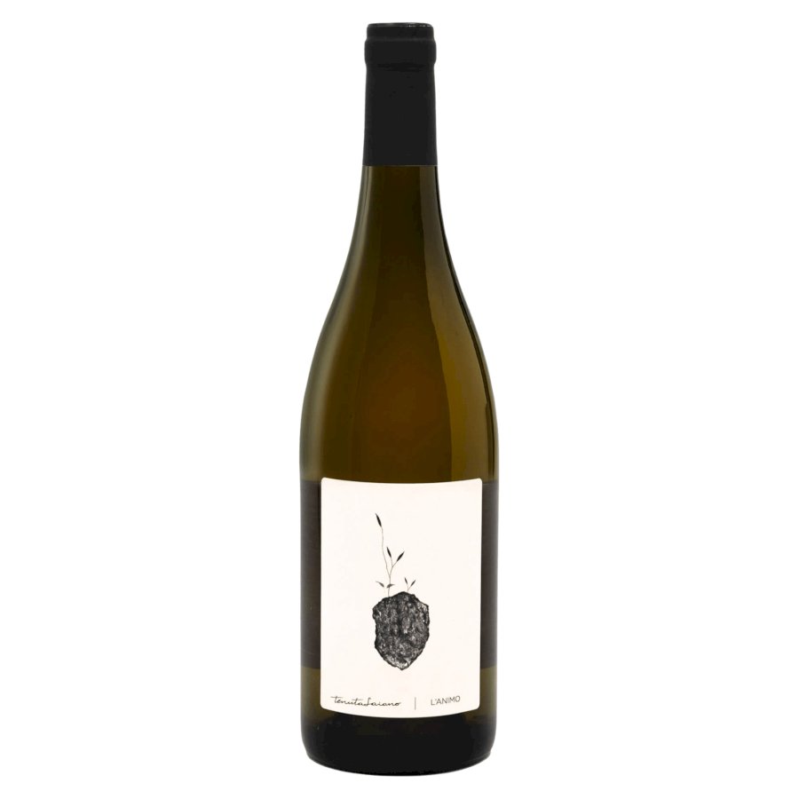 L'Animo 2024 Rubicone Grechetto IGT