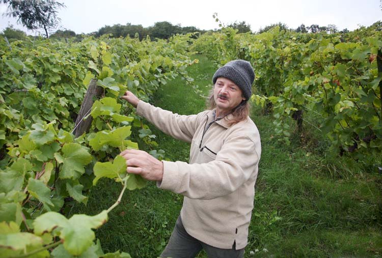 Domaine Durrmann