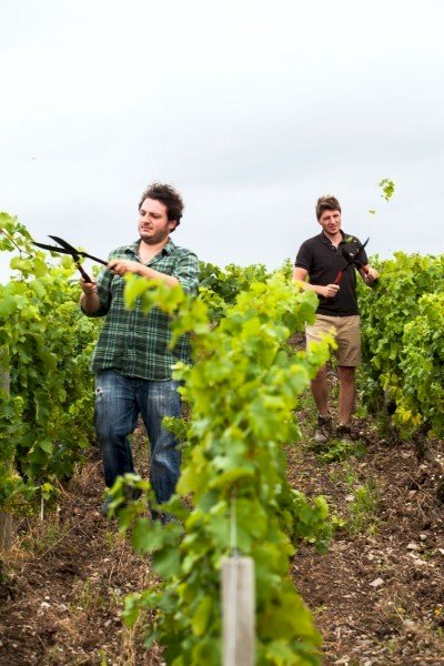 Domaine Robert Denogent