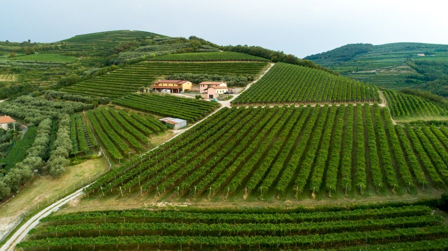 Il Monte Caro