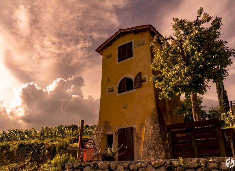 Il Roccolo di Monticelli