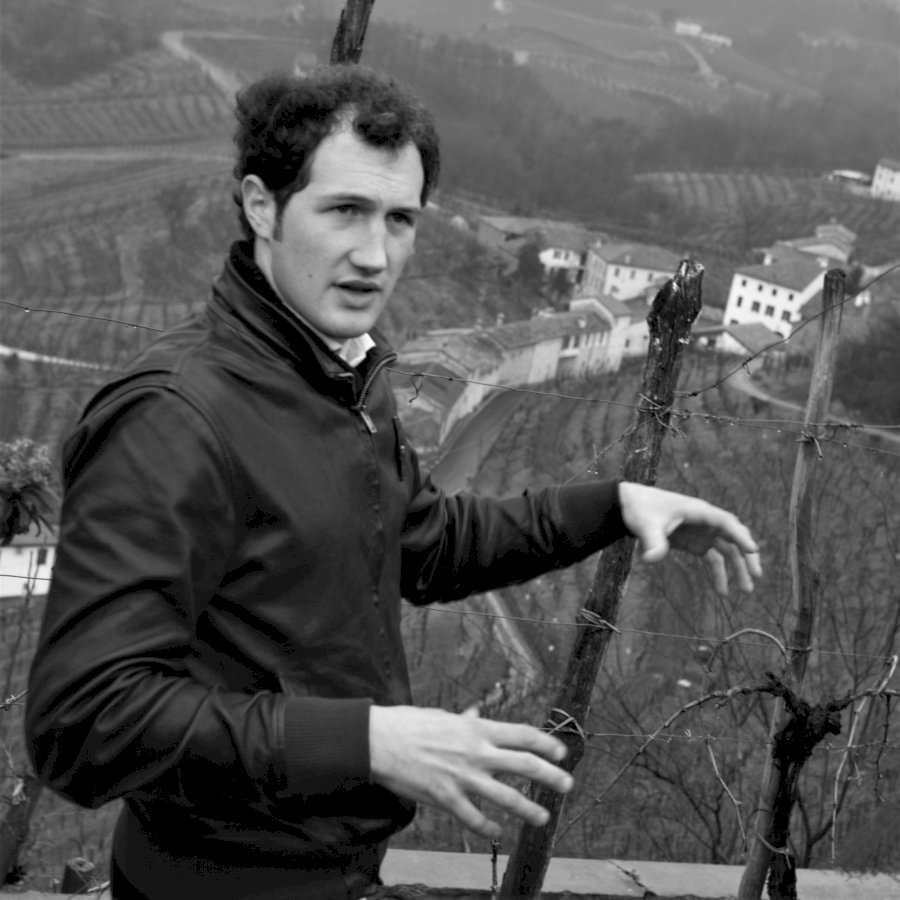 Vigneto Ca dei Zago 2024 Colli Trevigiani IGT