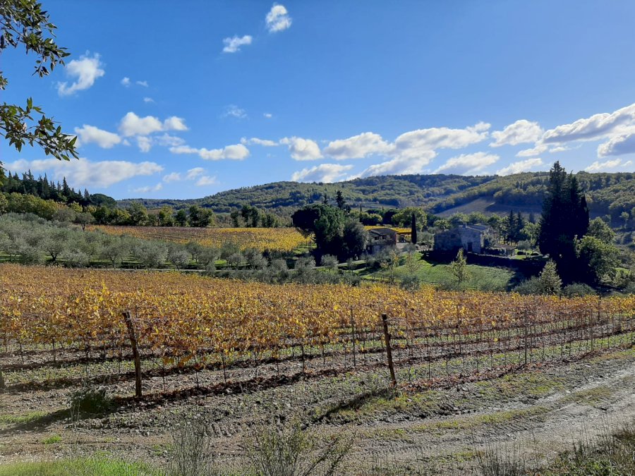 Podere Erica