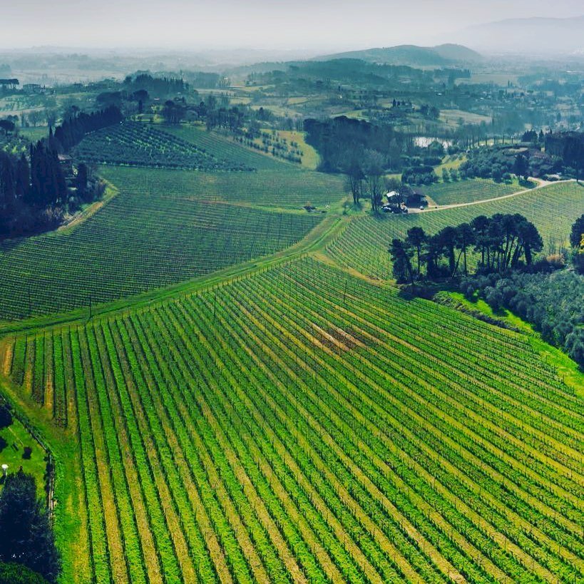Tenuta Lenzini