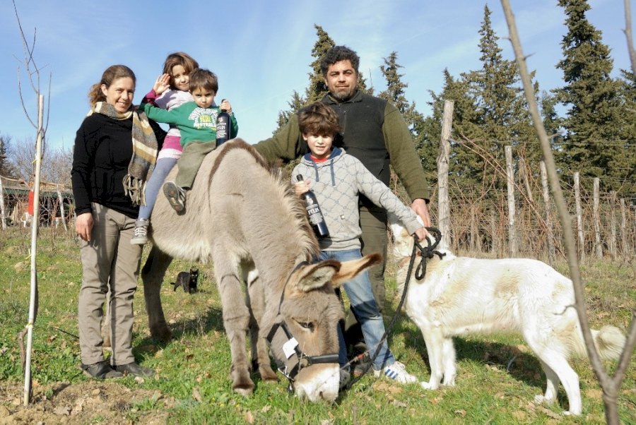 Tenuta Montiani