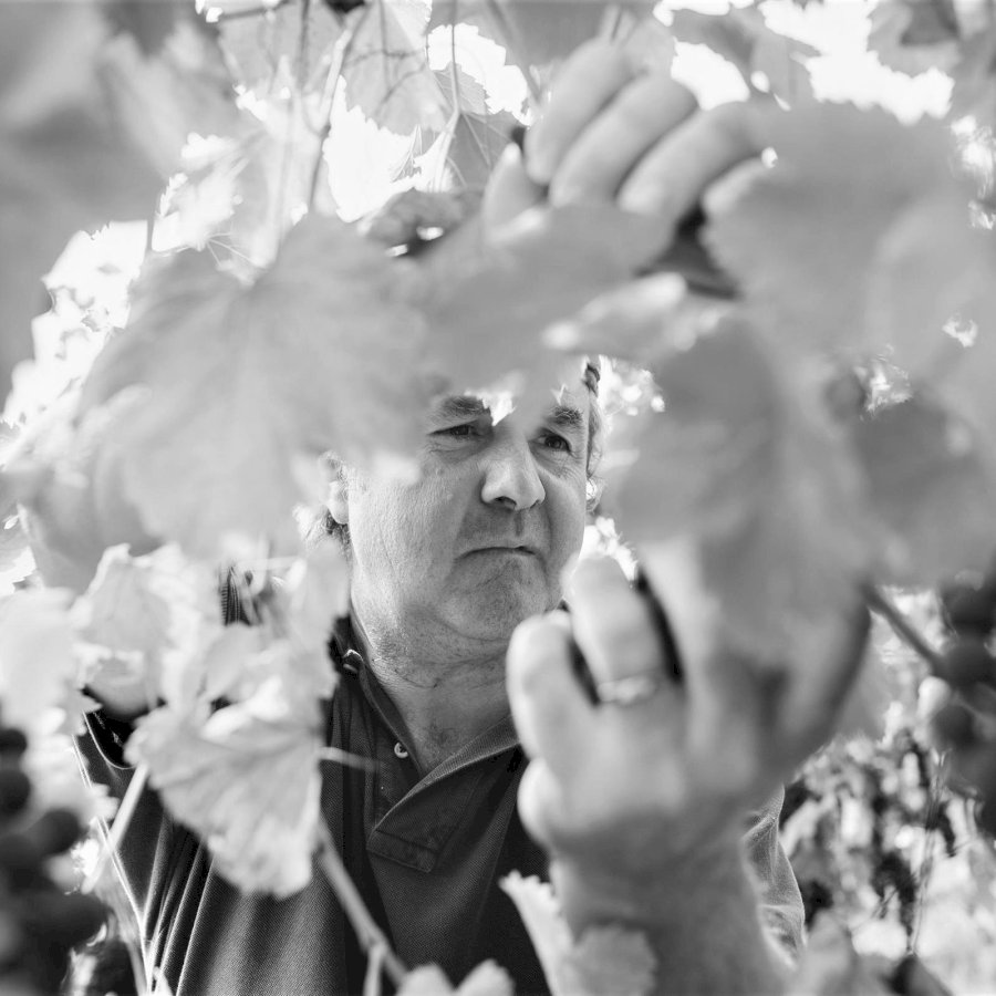 Lambrusco dell´Emilia Frizzante 2023
