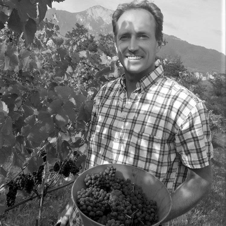 Alpino Sur Lie Vino Bianco Frizzante